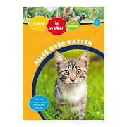 Alles Over Katten AVI E4