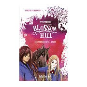 Ruiterschool Blossom Hill. Een Stormachtige Start