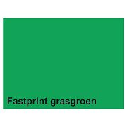 Copy paper Fastprint A4 160gr grass green 50 sheets