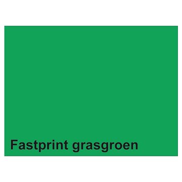 Copy paper Fastprint A4 160gr grass green 50 sheets