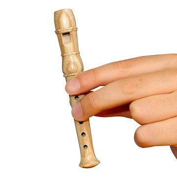 Mini Recorder