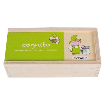 Beleduc Cognito Activities Recognize Wooden Children's Game