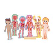 Hape Human Body Magnetic Puzzle - 63pcs.