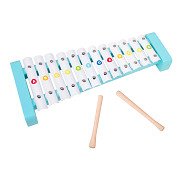 Classic World Wooden Xylophone Toucan, 3 pcs.