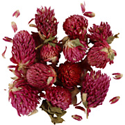 Dried Flowers Red Clover Purple, 15gr