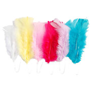 Feathers in Various Colors 11-17cm, 18pcs.