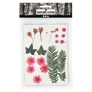 Trockenblüten und Blätter Hellrot, 19St.