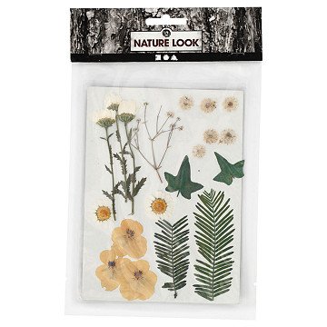 Dried Flowers and Leaves Off-white, 19pcs.