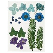 Trockenblumen und Blätter Blau, 19St.