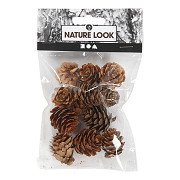 Larch cones, 12 pcs.
