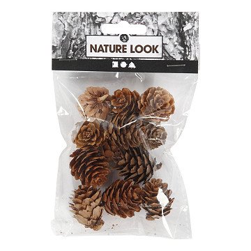 Lärchenzapfen, 12 Stk.