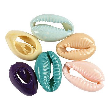 Muscheln Farbe, 6 Stk.