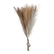 Pampas grass Beige/Brown/Gray, 3 pcs.