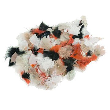 Colorations - Natural Feathers 85 Gram, 750 pcs.
