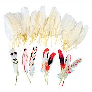 Colorations - Natural White Feathers, 48pcs.