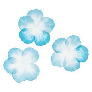 Colorations - Washi Stickers - Blue Petals, 80pcs.