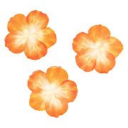 Colorations - Washi Stickers - Orange Petals, 80pcs.