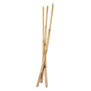Colorations - Bamboo sticks 50cm, 3 pcs.