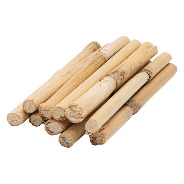 Colorations - Short Bamboo Sticks 10-12cm, 10 pcs.