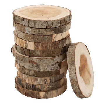 Färbungen – Unbearbeitete Holzscheiben 8–10 cm, 12 Stück.