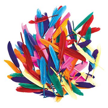 Colorations - Farbige Entenfedern, 28,5 Gramm