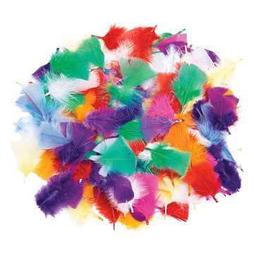 Colorations - Rainbow feathers, 85 grams