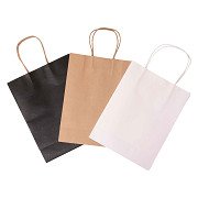 Colorations - Craft Paper Bags - 3 Colors 24,5 x 19 cm, 6 pcs.