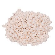 Colorations - Seashells Kauri, 300g