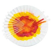 Colorations - Druppelaars 15cm, 12st.