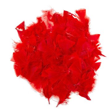 Colorations - Rode Veren, 25 gram