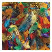 Colorations - Spotted Feathers, 30 grams
