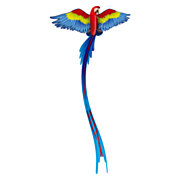 Kites Ready 2 Fly – Pop-up-3D-Drachenpapagei
