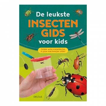 The best insect guide for kids