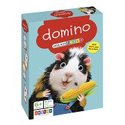 Learning to read safely - Domino