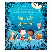 Wat zijn sterren? Flapjesboek