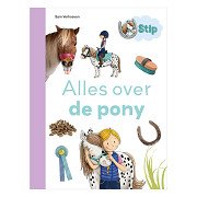 Everything about the pony - AVI E4