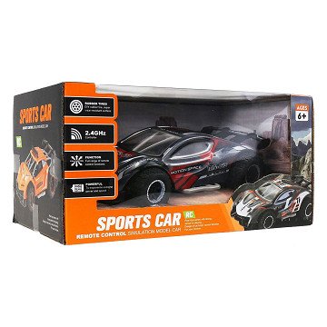 RC Race Car 1:24