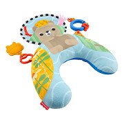 Fisher Price Sensorisch Buikkussen