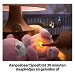 Beschrijving afbeelding