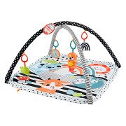 Fisher-Price  3-in-1 Muziek Glow & Grow Gym