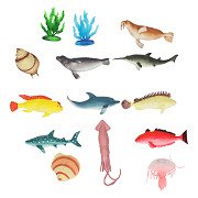 Zeedieren, 11st.