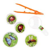 Bugs World Insect Observation Set, 5 pcs