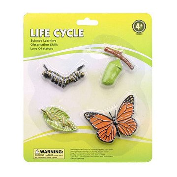 Life Cycle Butterfly Play Figures Set