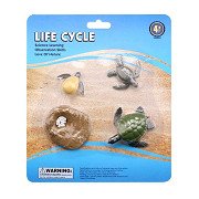 Life Cycle Turtle Toy Figures Set