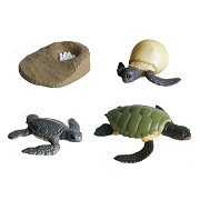 Lebenszyklus Schildkröte Spielfiguren Set