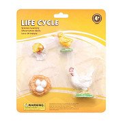 Life Cycle Rooster Play Figures Set