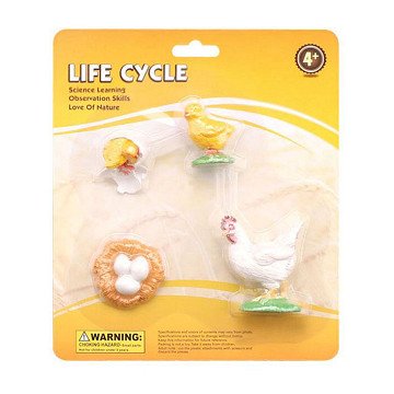 Life Cycle Rooster Play Figures Set