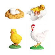 Life Cycle Rooster Toy Figures Set