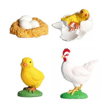 Life Cycle Rooster Toy Figures Set