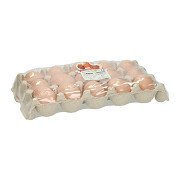 Plastic Eggs - 15 pcs.